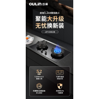 欧琳灶具JZT-D3013B