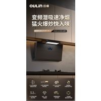 欧琳烟机CXW-220-X555~27立方