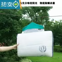 敬平晒枕头器宿舍家用阳台多功能防风晾晒抱枕玩偶网兜网袋枕芯衣架 晒枕头网蓝绿色白网 单层[不带 衣架]晒衣篮