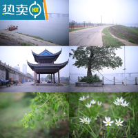 敬平带手柄洗手盆洗脸池面盆洗手台刷子清洁刷家用浴室瓷砖厨房浴缸刷 收藏加购享优先发货