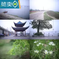 敬平带手柄洗手盆洗脸池面盆洗手台刷子清洁刷家用浴室瓷砖厨房浴缸刷 收藏加购享优先发货