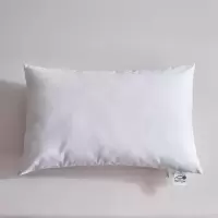 广亿隆白色枕芯