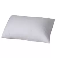 广亿隆 床上用品枕芯白色 47*74cm 个