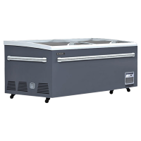 星星(XINGX)商用大容量展示柜单温玻璃门冷藏冷冻转换岛柜超市便利店海鲜丸子雪糕冰柜SD/SC-1020BYQA