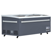 星星(XINGX)商用大容量展示柜单温玻璃门冷藏冷冻转换岛柜超市便利店海鲜丸子雪糕冰柜SD/SC-820BYQA