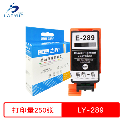 兰韵 黑色墨盒 LY-289 适用爱普生WF-100/WF-110