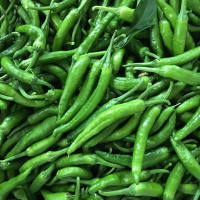 樟树港本地辣椒1斤正宗湖南新鲜辣椒农家青辣椒岳阳特产现摘 500g