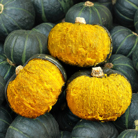 板栗味贝贝南瓜小南瓜新鲜10正宗山东日本婴儿5斤 1500g