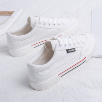 2021年春夏季薄款帆布鞋白色透气小白鞋新款厚底女鞋百搭板鞋 靓白色 35