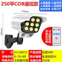 仿真监控太阳能人体感应庭院灯家用假摄像头充电院子照明户外路灯 仿监控太阳能庭院灯[天黑自动亮] 普亮款[一组灯芯]30V