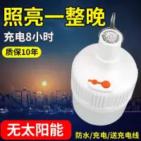 led可充电灯泡停电应急照明灯家用式移动超亮户外夜市灯摆摊地摊 [地摊推荐]小号夜市灯+充电线