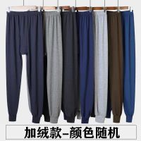 男士秋裤男保暖裤男加绒加厚绒裤男宽松衬裤线裤薄款单件加肥弹力 加绒款[1条装] 适合体重[100-130斤]