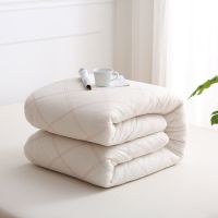 棉被垫被床褥床垫棉被芯棉被子夏凉被学生宿舍春夏秋被褥褥子被芯 90cm*200cm 2斤