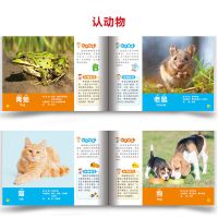 宝宝认汽车车标认标志认认物大全幼儿童书籍幼儿早教0-3-6岁 认标志+名车+共3本