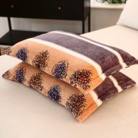 冬季保暖法兰绒珊瑚绒枕套枕头套枕芯套学生单人48*74拉链式枕套 晚枫 48cmX74cm(一只装)