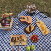 郊游野餐垫防潮ins风野餐布春游户外野炊地垫子用品草坪便携防水 丈青100*150 适合1-2人