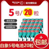白象五号5号aa碳性7号1.5V玩具lr6环保普通家用电视无线鼠标儿童玩具手电空调遥控器干电池40粒批发 白象5号20粒