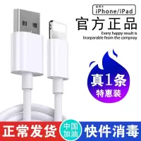 适用于苹果8数据线11pro充电线器X快充6s单头iphone冲电8p平板xrXSMaxs手机通用ipad亲乐熊5s闪充