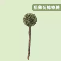 猫咪磨牙棒玩具猫啃咬猫猫小猫自嗨解闷神器木天蓼猫薄荷球棒棒糖 猫薄荷 棒棒糖