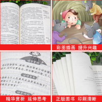 小布头奇遇记孙幼军正版原著 天地出版社 二年级三年级课外书必读经典书目小学生四年级五年级课外阅读书籍老师推荐儿童童话故事