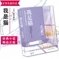 我是猫 (日)夏目漱石著 对鲁迅影响力极大的小说外国文学日本文学小说世界名著外国小说书籍世界名著青春励志外国文学读物经典