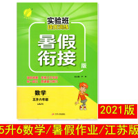 2021小学实验班提优训练暑假衔接版五升六数学JSJY苏教版江苏用5升6温故知新衔接上下学期举一反三贯通复习预习含答案