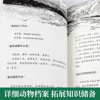 最后一头战象 沈石溪动物小说珍藏版单本全集正版 浙江少年儿童出版社 小学生课外阅读书籍三四五六年级课外书必读故事书8一1