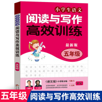 五年级 小学生语文阅读与写作理解高效训练 语文阶梯阅读训练书 小学生作文辅导书 小学生分析课外学习资料 5小学教辅读物