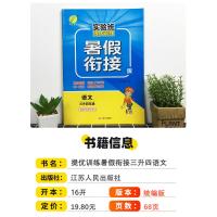 2021实验班提优训练暑假衔接三升四年级语文人教版 春雨小学3升4教材同步练习册题暑假作业本阅读假期复习预习辅导资料书儒