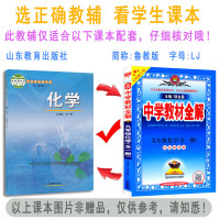 中学教材全解九年级化学全一册上下册鲁教版山东教育版五四制初中初三化学辅导书 同步教材学习资料书 教材完全解读 中学教辅金