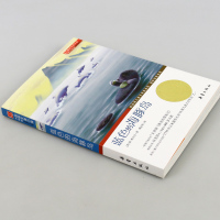 正版 蓝色的海豚岛书 小学生国际大奖儿童文学小说 新蕾出版社儿童文学书籍9-12岁小学生课外书3-6年级读 五年级课外书