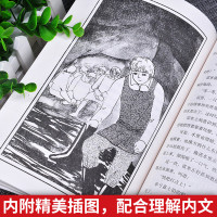 附考题 正版 苦儿流浪记正版原著 全集埃克多马洛/著小学生初中生语文必读课外书 四年级三年级五年级六年级hx