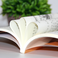 大大大和小小小历险记 注音版 全新正版中国幽默儿童文学创作 任溶溶系列6-10岁少儿冒险故事图书籍 小学生校园励志课外书