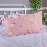 一对装四季全棉枕套情侣成人枕头套大号单人枕芯套卡通芦荟棉 彩虹（薄款拉链）2只装 40cmX60cm