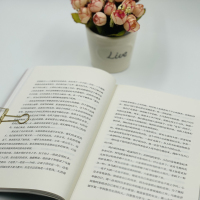 正版 马燕日记 一个感动世界的现代童话全新修订 失学女童的人生传奇中小学生阅读书目推荐 推荐小学生必读书目课外书籍