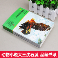 正版 一只猎雕的遭遇 动物小说大王沈石溪品藏书系中小学生课外阅读书不带拼音儿童文学书籍 浙江少年儿童出版社共309页DB