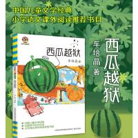 正版 西瓜越狱 小布老虎丛书 车培晶著 春风文艺出版社 儿童文学 少儿读物 小学语文课外阅读书目7-10岁