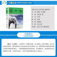 正版 最后一头战象 动物小说大王沈石溪品藏书系中小学生课外阅读书不带拼音儿童文学书籍 浙江少年儿童出版社共231页DB