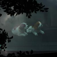 摇头摇摆狗狗车载汽车饰摆件小车车内内饰装饰品用品漂亮摆设 随机款式亏本清仓