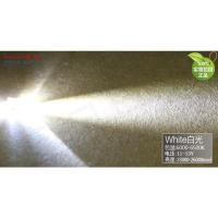 led灯珠12v超高亮12伏5mm圆头插件led汽车灯聚光F5发光二极管 12伏F5圆头高亮正白光100个 拍1件=10