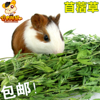 紫花苜蓿草 2021新草兔粮饲料豚鼠龙猫粮荷兰猪幼兔干草牧草