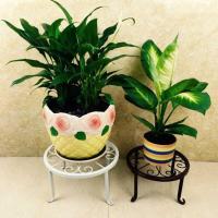 铁艺花架子落地单盆花架客厅阳台简约花架花盆架子黑色白色 中号黑色(2个装)