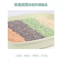 哥伦脆豆腐猫砂6L除臭无尘天然原味豆腐混合猫砂猫咪用品10斤 原味