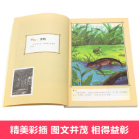 全4册森林报春夏秋冬故事绘本大全集正版四年级下册必读比安基课外书三四五年级系列儿童四五小学生阅读书籍3-4-6全集正版