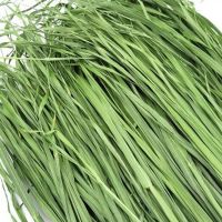 21年头茬烘干小麦草 龙猫兔子荷兰猪豚鼠天竺鼠干草牧草饲料