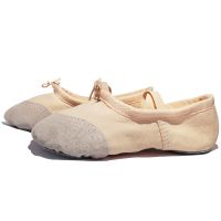 舞蹈鞋女软底学生练功鞋成人芭蕾形体舞鞋儿童瑜伽猫爪鞋舞蹈服装 皮头肤色 22