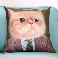 特价韩版油画可爱猫猫抱枕亚麻沙发靠垫床头靠枕学生午睡汽车腰靠 爸爸TOM 45X45CM 光枕套