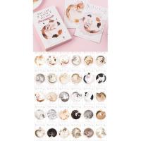 明信片ins简约文艺学生小卡片清新留言卡片动漫明信片二次元盒装 猫睡了一整天30张盒装 30张