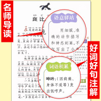[老师推荐]小鹿斑比正版书注音版 小学生课外阅读书籍正版书二年级三四五年级必读适合小学3-6年级拼音一年级故事书班主任推