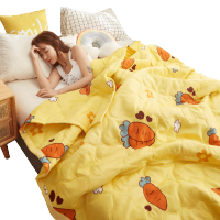 水洗棉空调被子被芯夏凉春秋薄款夏季双人单人可机洗宿舍学生儿童